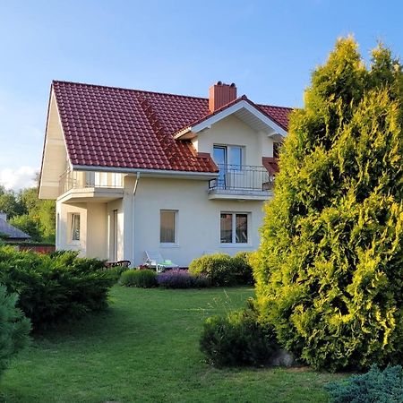 Chalet Villa Rex دروسكينينكاي المظهر الخارجي الصورة