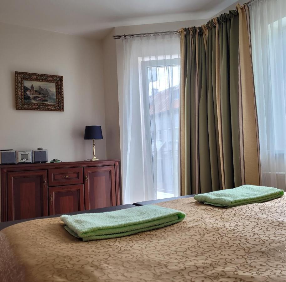 Chalet Villa Rex دروسكينينكاي المظهر الخارجي الصورة