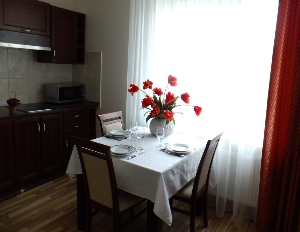 Chalet Villa Rex دروسكينينكاي الغرفة الصورة
